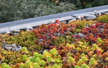 the cost of Greensforge green roof installation