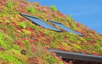 Greensforge living roof systems