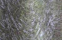 Greensforge fibreglass roof work